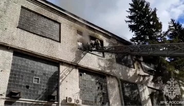 Фото: При пожаре на воронежском заводе погибли три человека 1