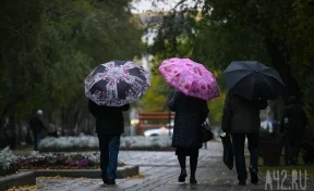 Жителей Кузбасса предупредили о дожде и мокром снеге