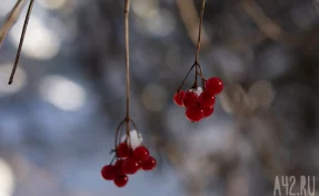 Матвеев день или Матвей Зимний: народные приметы на 29 ноября