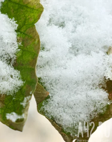 Покров Пресвятой Богородицы: народные приметы на 14 октября