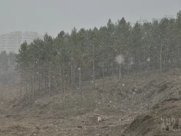 Фото: «Праздник зимы и труда»: в Кемерове резко похолодало и выпал снег 2