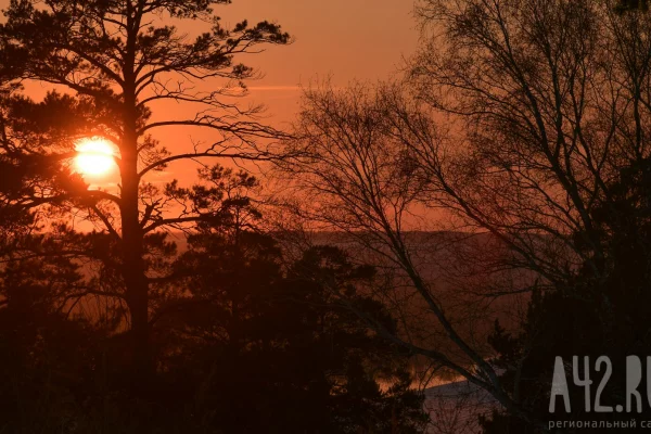 Следователи назвали версии исчезновения семьи с 5-летним ребёнком в лесу в Красноярском крае