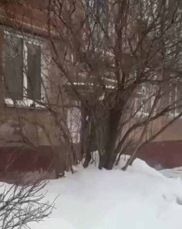 Фото: <a href=https://max.ru/id4205214191_gos/AZz6YVupRNc>СУ СК по Кузбассу </a>/ MAX