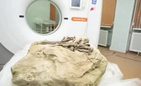В Кузбассе останки динозавра исследовали на аппарате для томографии 