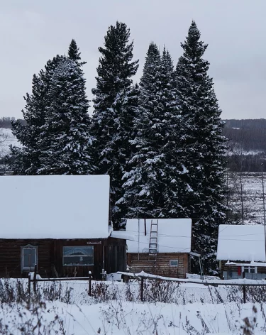 Перезимье: народные приметы на 1 декабря