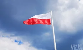 Польша в ближайшие дни откроет два КПП на границе с Белоруссией