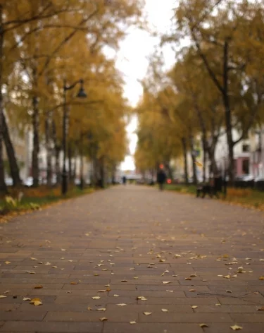Фото: A42.RU