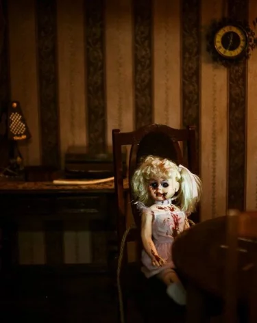 Пожизненное: вынесен приговор женщине, хранившей в чемоданах останки детей