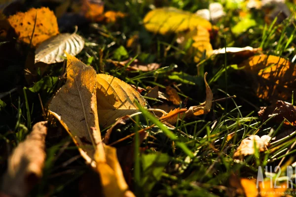 День Феофана Милостивого: приметы на 12 октября