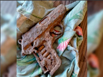 Фото: Кузбасские фермеры нашли под плугом заряженный пистолет немецкого производства 1