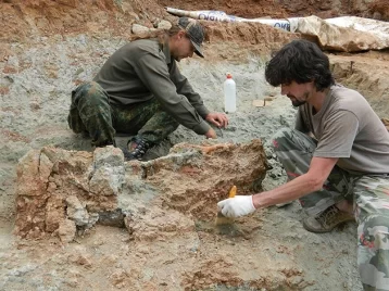 Фото: В Кемеровской области начнутся поиски останков динозавров 1