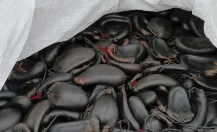 Из Кузбасса в Гонконг впервые в 2026 году отправили партию хвостов маралов