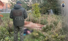 В Новой Москве обнаружено тело женщины с признаками удушья