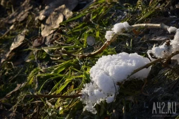 Фото: Потеплеет до +7: кузбасские синоптики дали прогноз погоды на начало весны  1