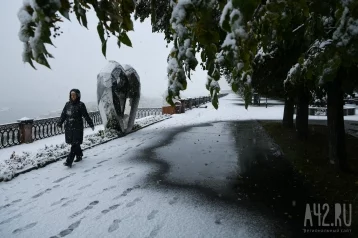 Фото: Сильные осадки, снежные заносы: синоптики Кузбасса дали прогноз погоды на понедельник  1