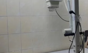 В ветклинике из Новокузнецка на 90 дней запретили делать рентгены из-за опасности