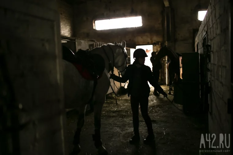 Фото: Лошади, бизнес, дети-инвалиды и коловрат: конно-спортивную школу в Кемерове выгоняют с чужой земли 15