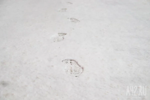 В Карачаево-Черкесии спасатели нашли сорвавшихся со склона туристов