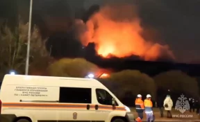 В Санкт-Петербурге загорелось здание Правобережного рынка