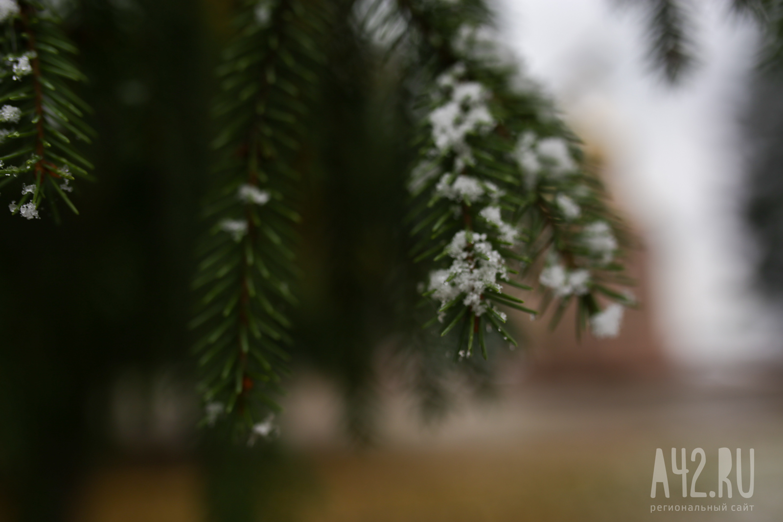 «Поздравляем»: первый снег выпал в Шерегеше