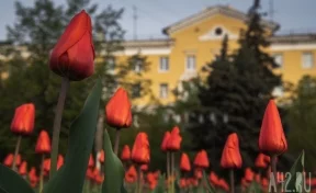 Синоптики пообещали жару до +28 на неделе в Кузбассе