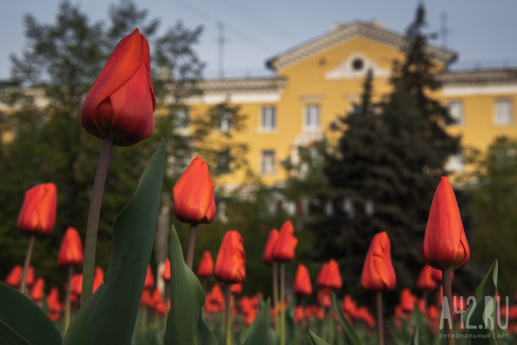 Синоптики пообещали жару до +28 на неделе в Кузбассе