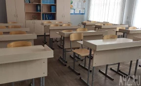 Кузбассовцам напомнили, при какой температуре детям можно не ходить в школу в мороз