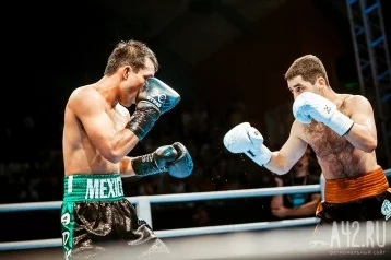 Фото: Кемерово примет престижные бои по версии Всемирной серии бокса 1