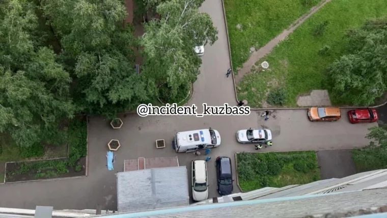 Фото: Появились фотографии с места гибели 70-летней женщины в Кемерове 2