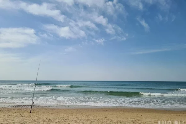 В Новой Зеландии ребёнок нашёл бутылку с письмом из прошлого