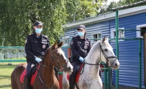 В Кемерове создали первый в Кузбассе взвод конной полиции