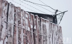 Близнецы Мельниковы получили 19 и 20 лет за подготовку диверсии в воинской части