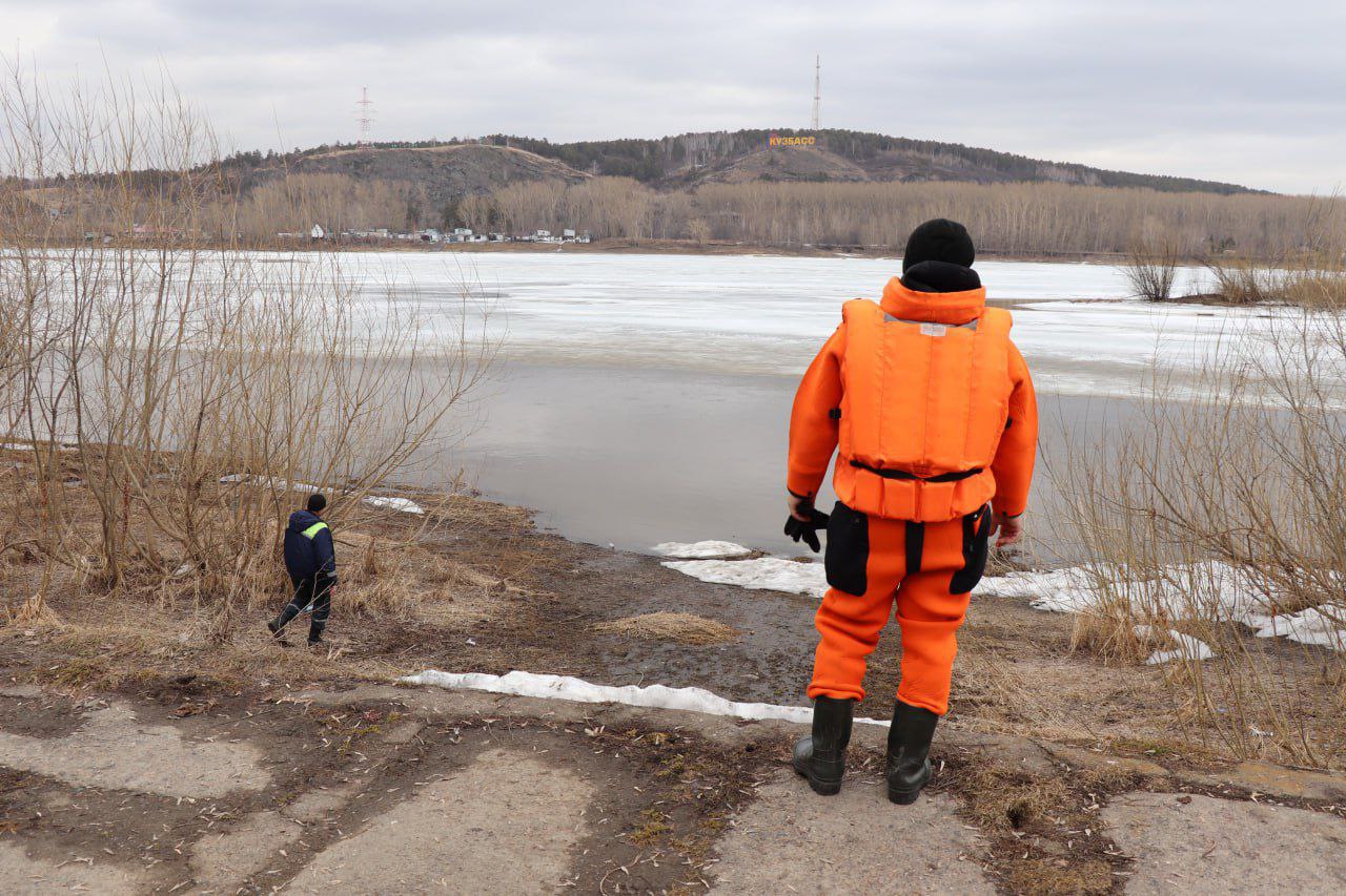 Кемеровчане сообщили о застрявшей на льдине собаке, её ищут спасатели