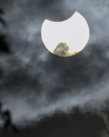 За ночь над регионами России сбили 121 БПЛА