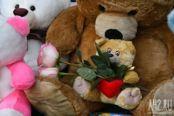 Фото: Россияне запустили интернет-акцию в помощь пострадавшим на пожаре в Кемерове 1