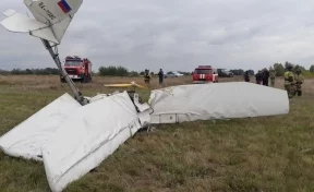 В Алтайском крае разбился легкомоторный самолёт при выполнении частного рейса