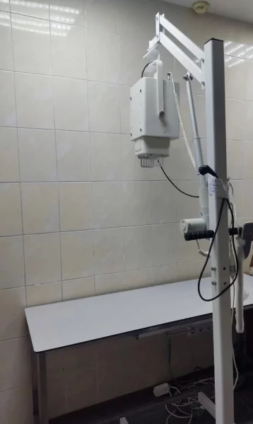 Фото: В ветклинике из Новокузнецка на 90 дней запретили делать рентгены из-за опасности 1