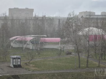 Фото: «Праздник зимы и труда»: в Кемерове резко похолодало и выпал снег 3