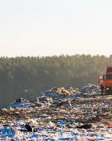 Фото: А42.RU