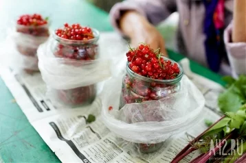 Фото: Россиянам разрешат собирать и продавать грибы и лесные ягоды 1