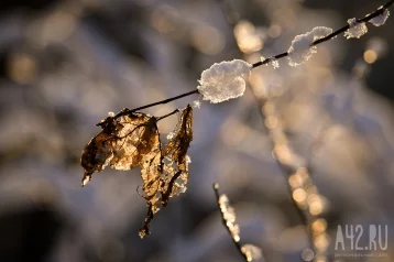 Фото: Синоптики: 15 декабря в Кузбассе потеплеет до 0 1