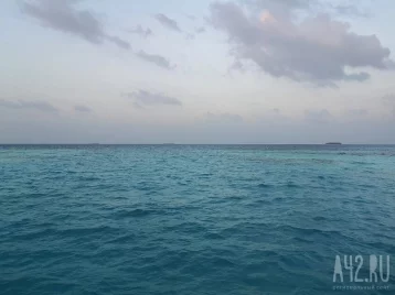 Фото: В районе Курильских островов произошло землетрясение магнитудой 5,0 1