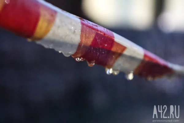 Министр: повреждённый участок дороги на трассе Бийск — Новокузнецк просел на 5 метров