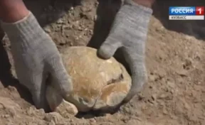 Кузбасские археологи нашли кость динозавра возрастом 150 миллионов лет