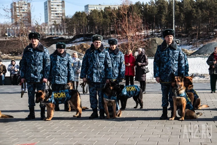 Фото: Лохматые защитники: в Кемерове прошли торжественным маршем служебные собаки 25