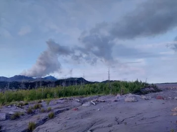 Фото: На Камчатке произошло извержение вулкана Шивелуч  1