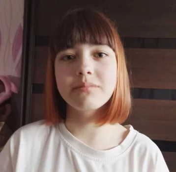 Фото: Следователи начали проверку после исчезновения 13-летней девочки в Кузбассе 1
