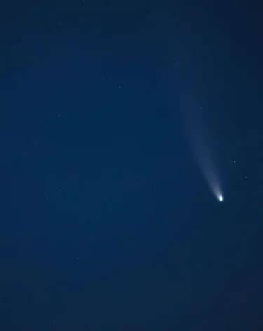 За ночь над регионами России и Чёрным морем сбили 40 БПЛА