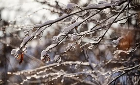 В Кузбассе потеплеет до +4 в первые дни декабря
