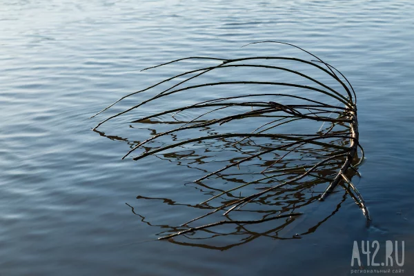 Ещё две дороги перекрыли в Кузбассе из-за их подтопления